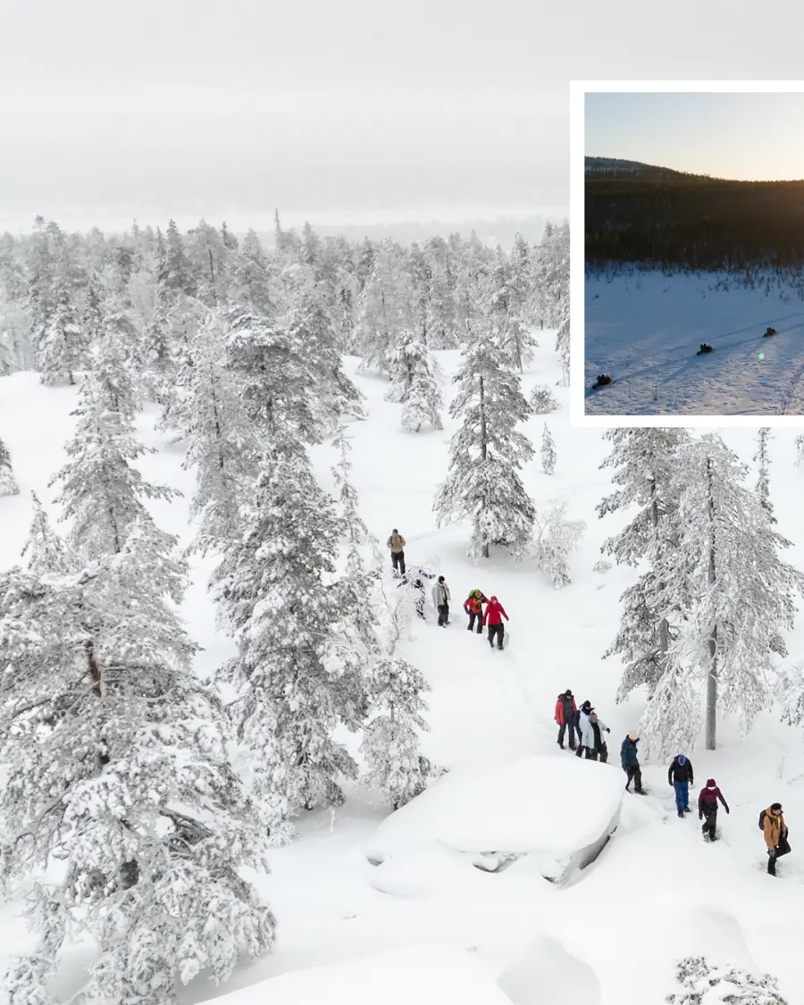 A line of snowshoe walkers moving through a frozen forest